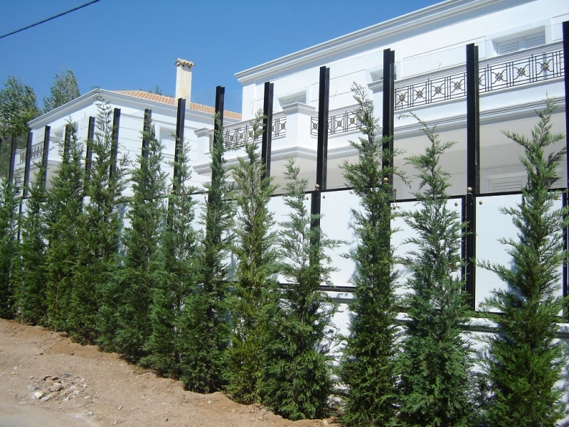 Transparent road traffic noise barrier