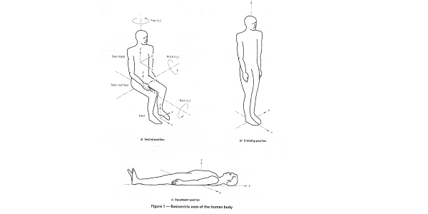 Human vibration